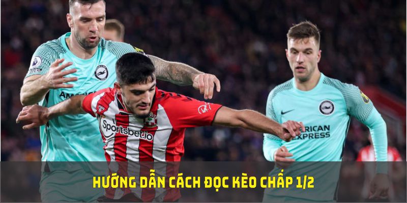 Hướng dẫn cách đọc kèo chấp 1/2 chuẩn chỉ